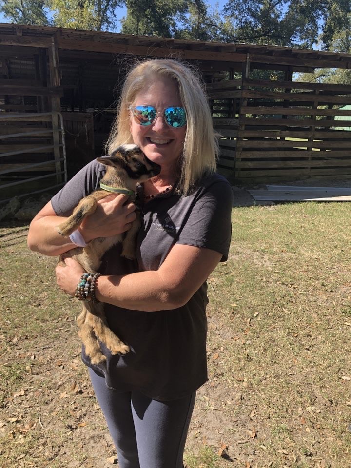 Woman At Goat Farm Holding Baby Goat