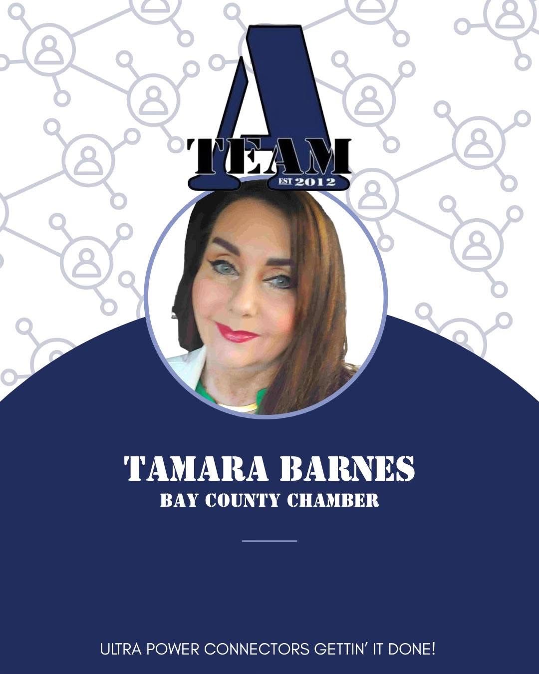 A-Team Member Image, Tamara Barnes, Bay County Chamber